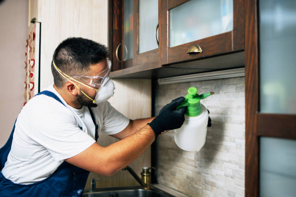 Best Mosquito Control Services  in Decherd, TN