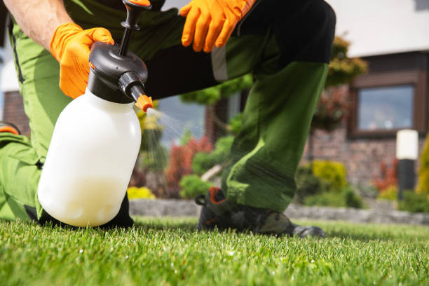 Best Residential Pest Control  in Decherd, TN