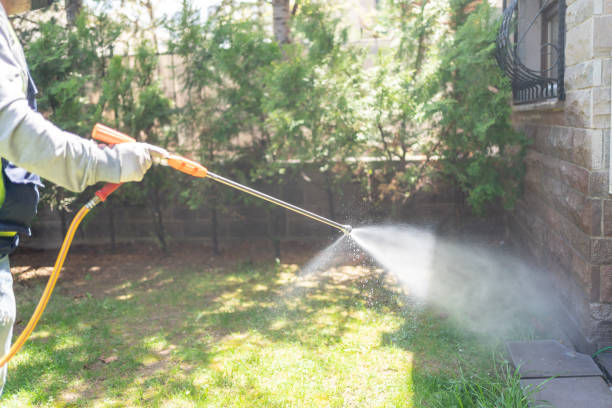 Best Termite Control Services  in Decherd, TN