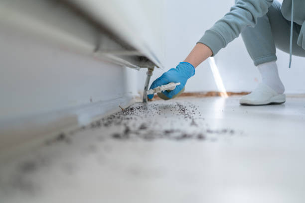 Best Pest Prevention Services  in Decherd, TN